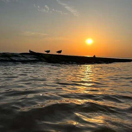 Family De Strandjutter 8 People בית נופש *