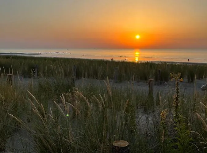 De Strandjutter 8 Persons * Middelkerke