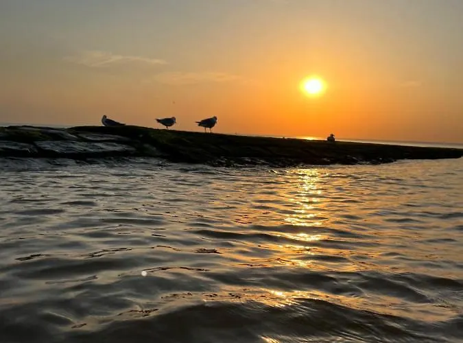 De Strandjutter 8 Persons Prázdninový dům *